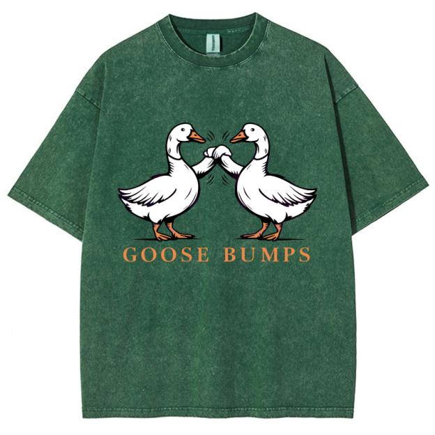 Goose Bumps Vintage Snowflake Washed T-Shirt