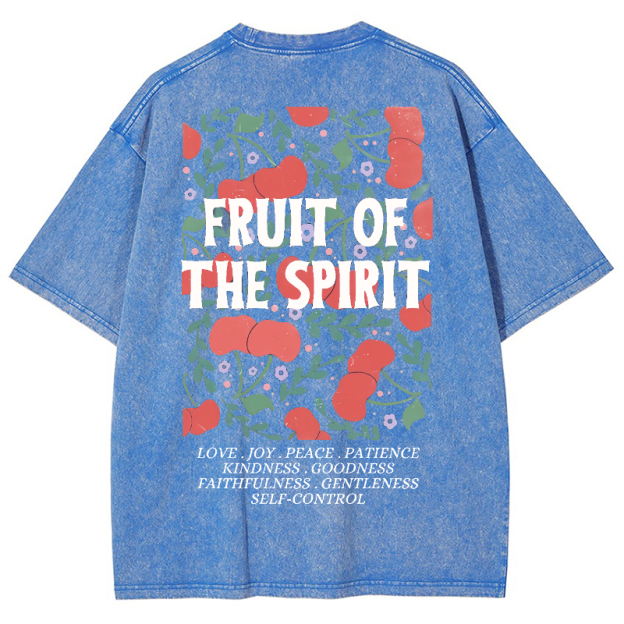 Fruit Of The Spiri Vintage Snowflake Washed T-Shirt