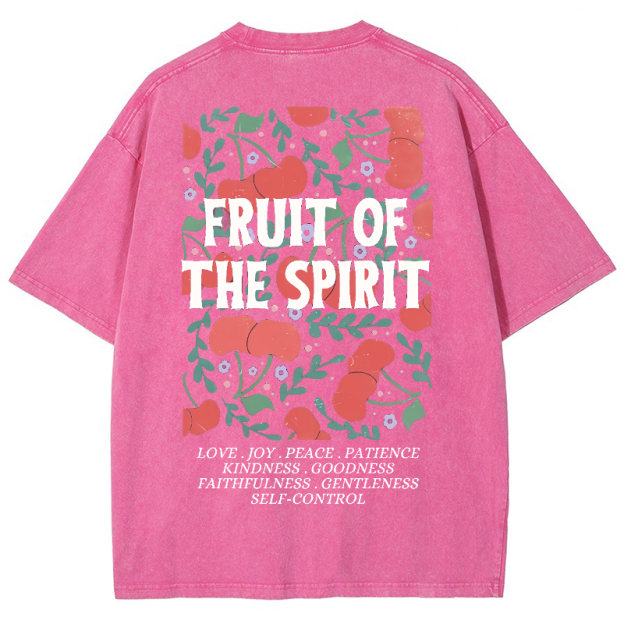 Fruit Of The Spiri Vintage Snowflake Washed T-Shirt