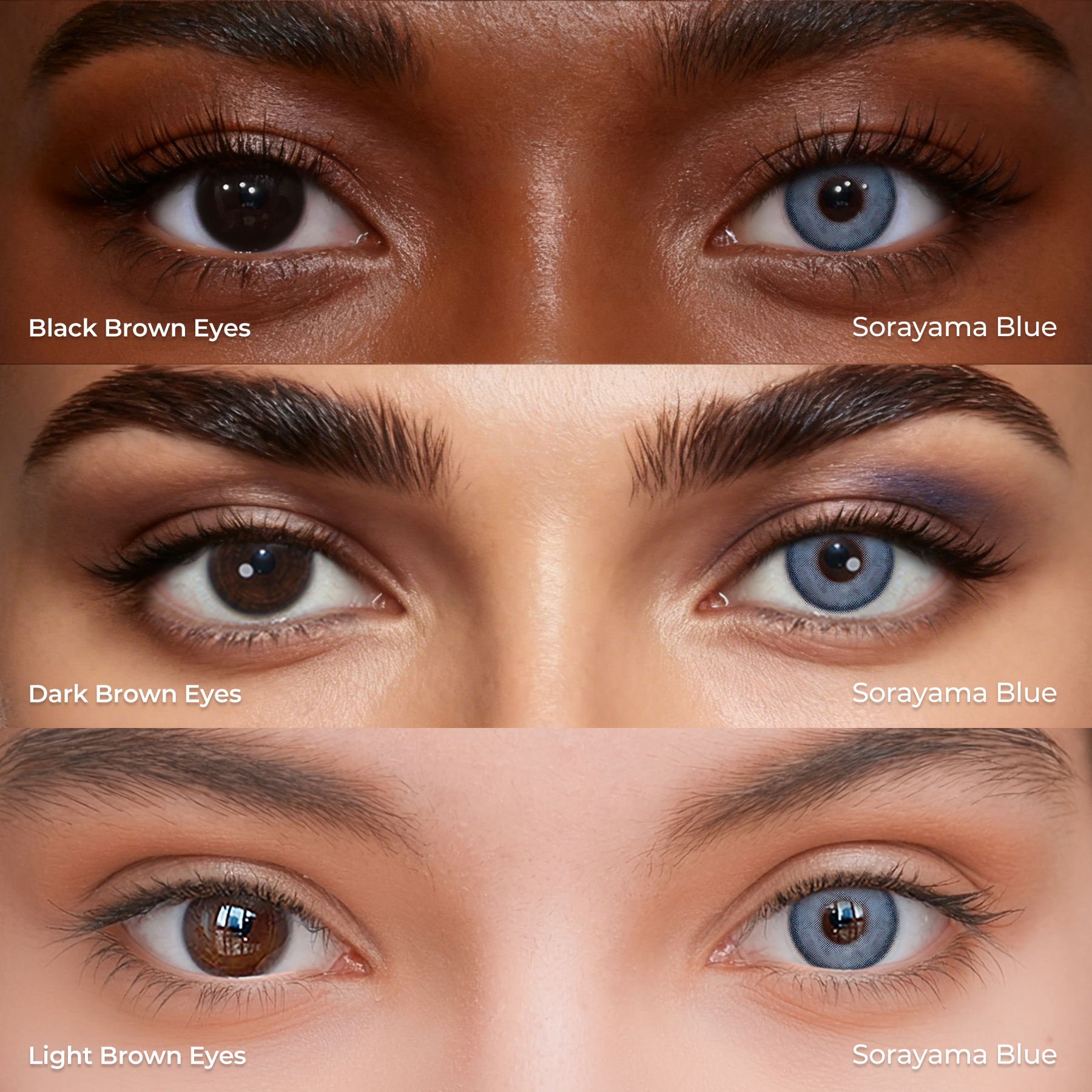 Sorayama Blue - 1 Year