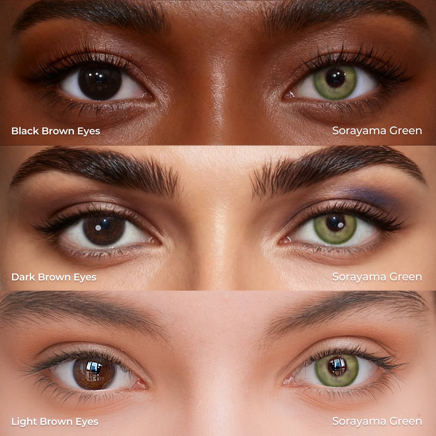 Sorayama Green - 1 Year