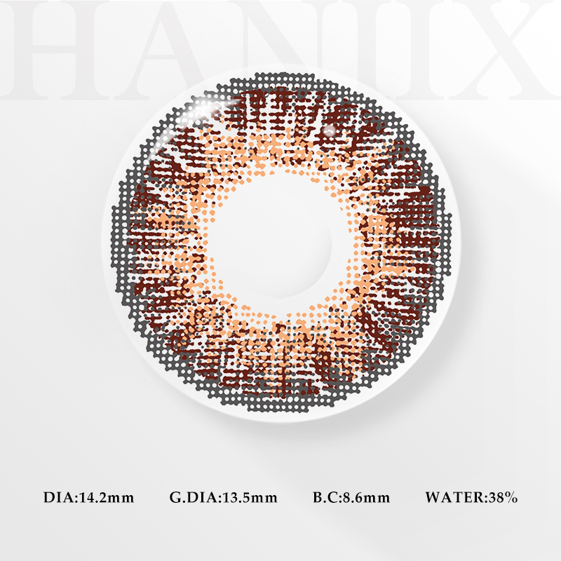 3 Tone Royal Brown - 6 Months