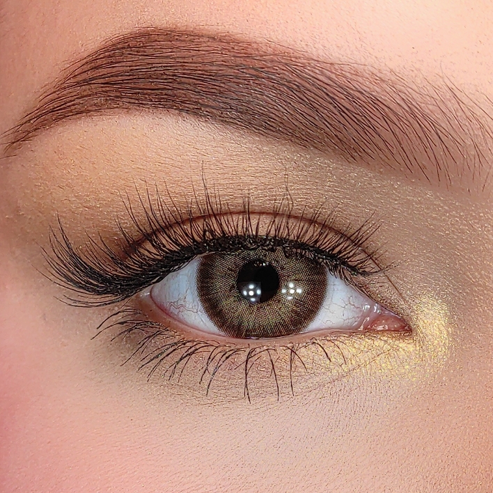 Iceland Brown - Yearly, 2 lenses