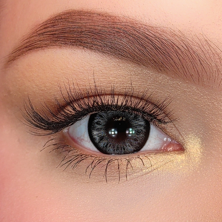 Teddy Black - Yearly, 2 lenses