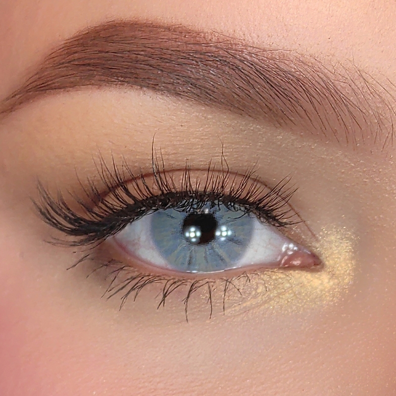 Roam Blue - Yearly, 2 lenses