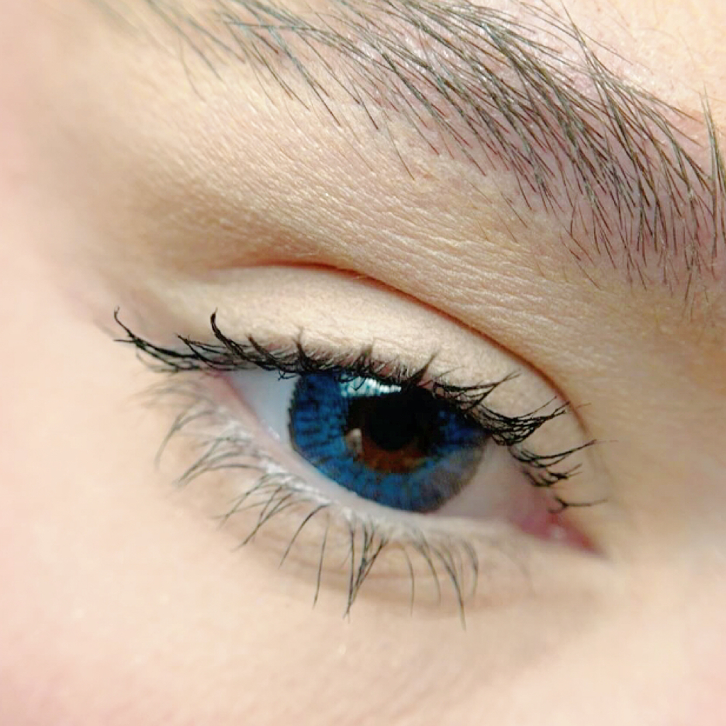 3 Tone Royal Blue - Yearly, 2 lenses