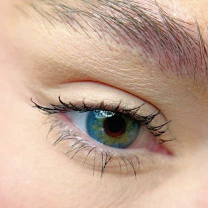 Russian Blue - Yearly, 2 lenses