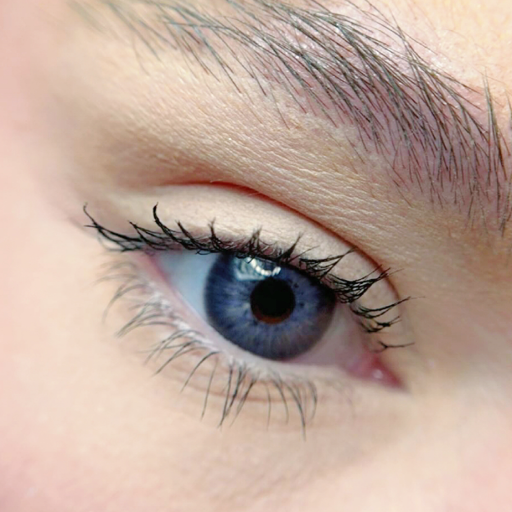 Iceland Violet - Yearly, 2 lenses