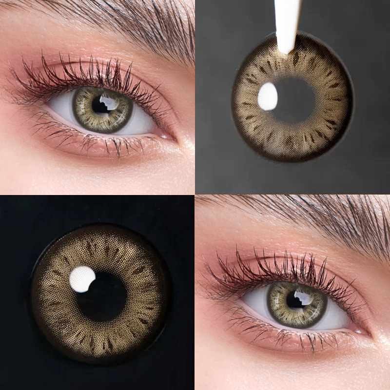 Teddy Brown - Yearly, 2 lenses