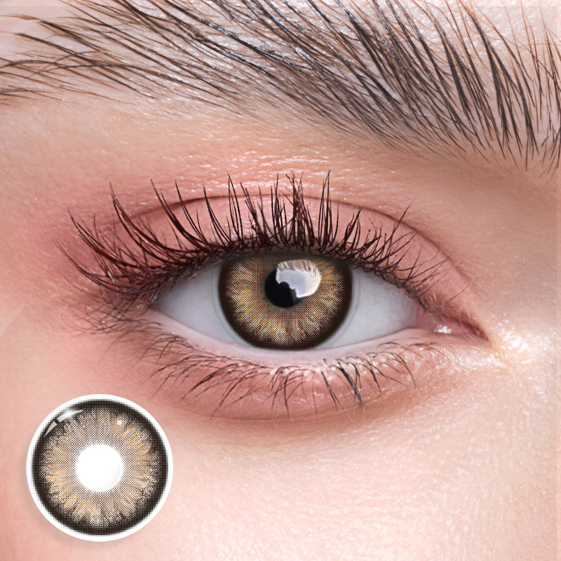 Dazzle Brown - Yearly, 2 lenses