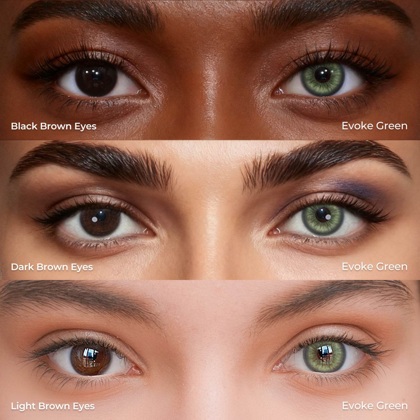 Evoke Green - 1 Year