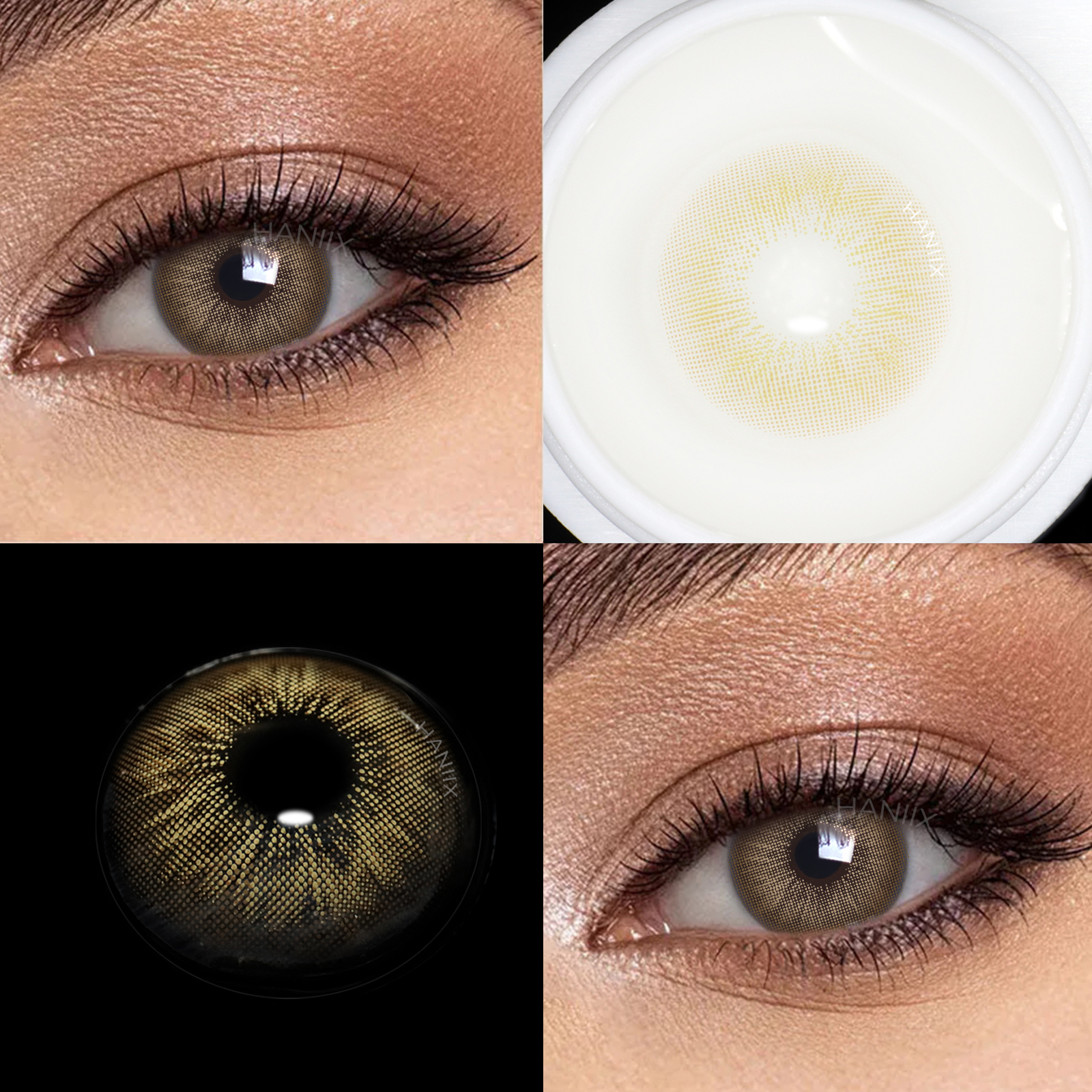 Focus Brown - 1 Year