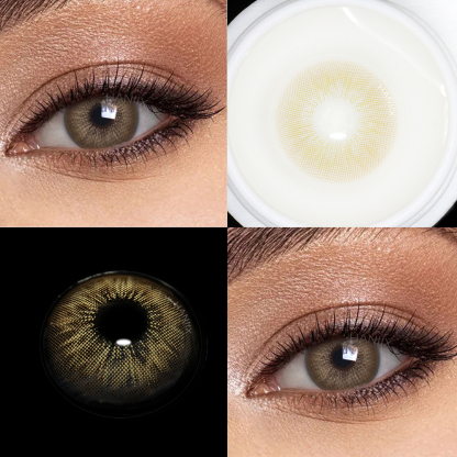 Focus Brown - 1 Year