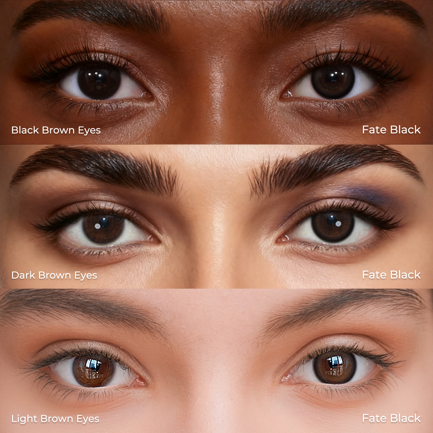 Fate Black - 1 Month