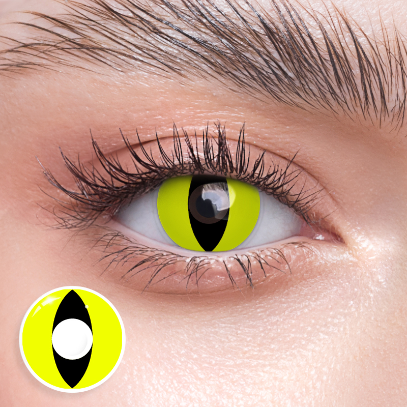 Cat Eye Yellow - 1 Year