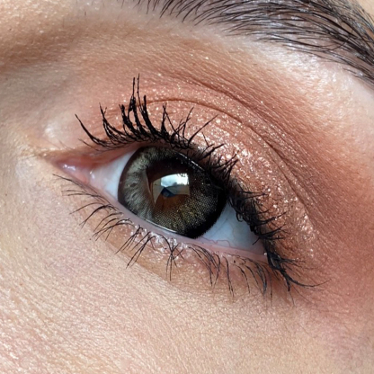 Dazzle Black - Yearly, 2 lenses