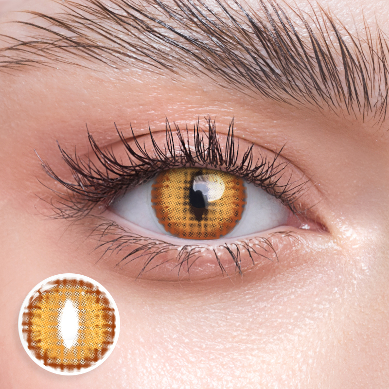 Dragon Eye Brown - 6 Months