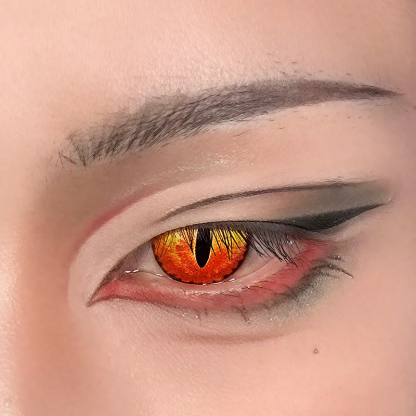 Dragon Maid - 1 Year