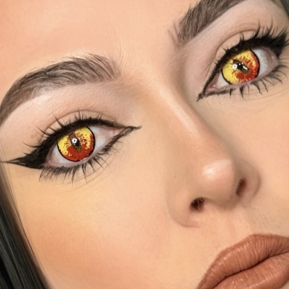 Dragon Maid - 1 Year