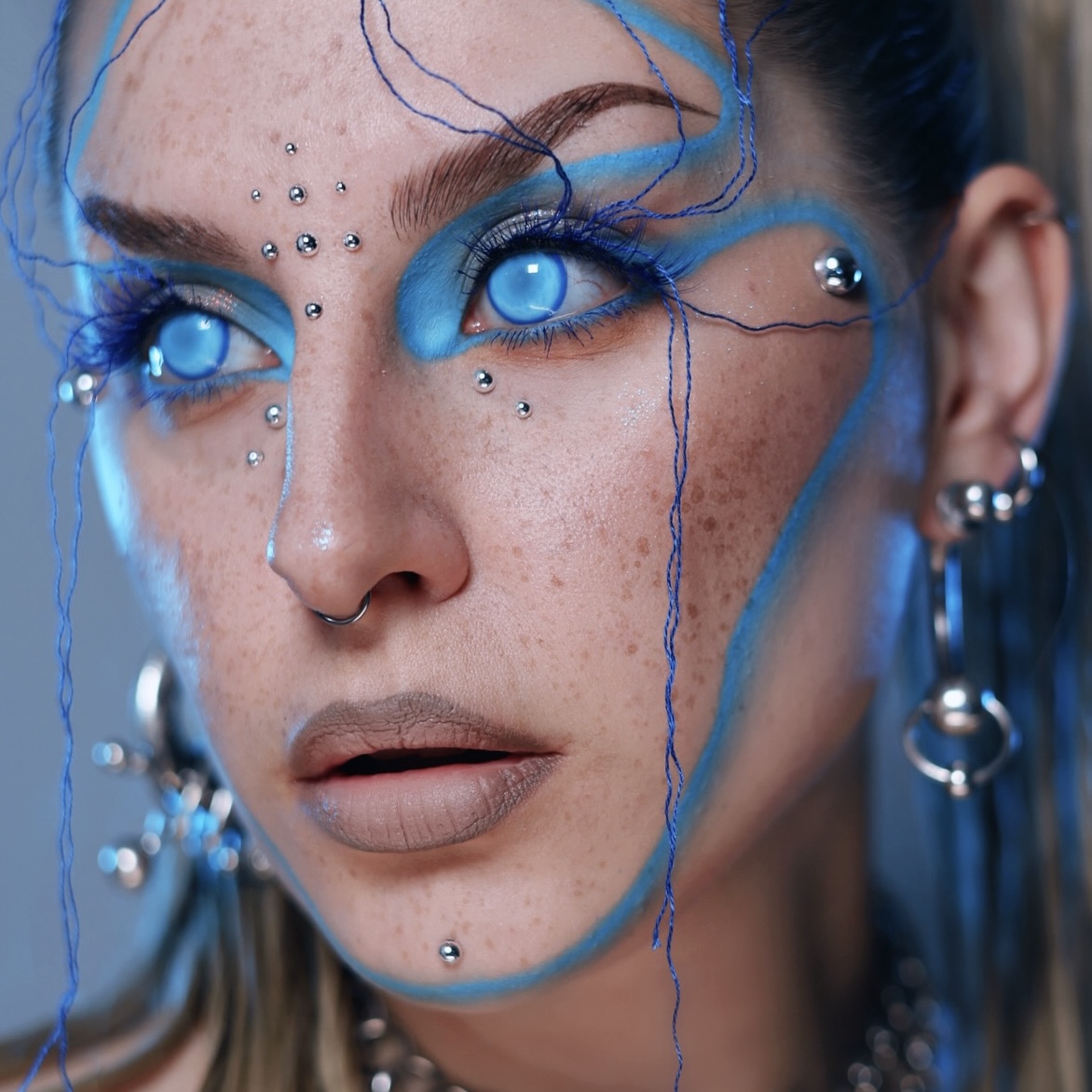 Everland Blue - 1 Year