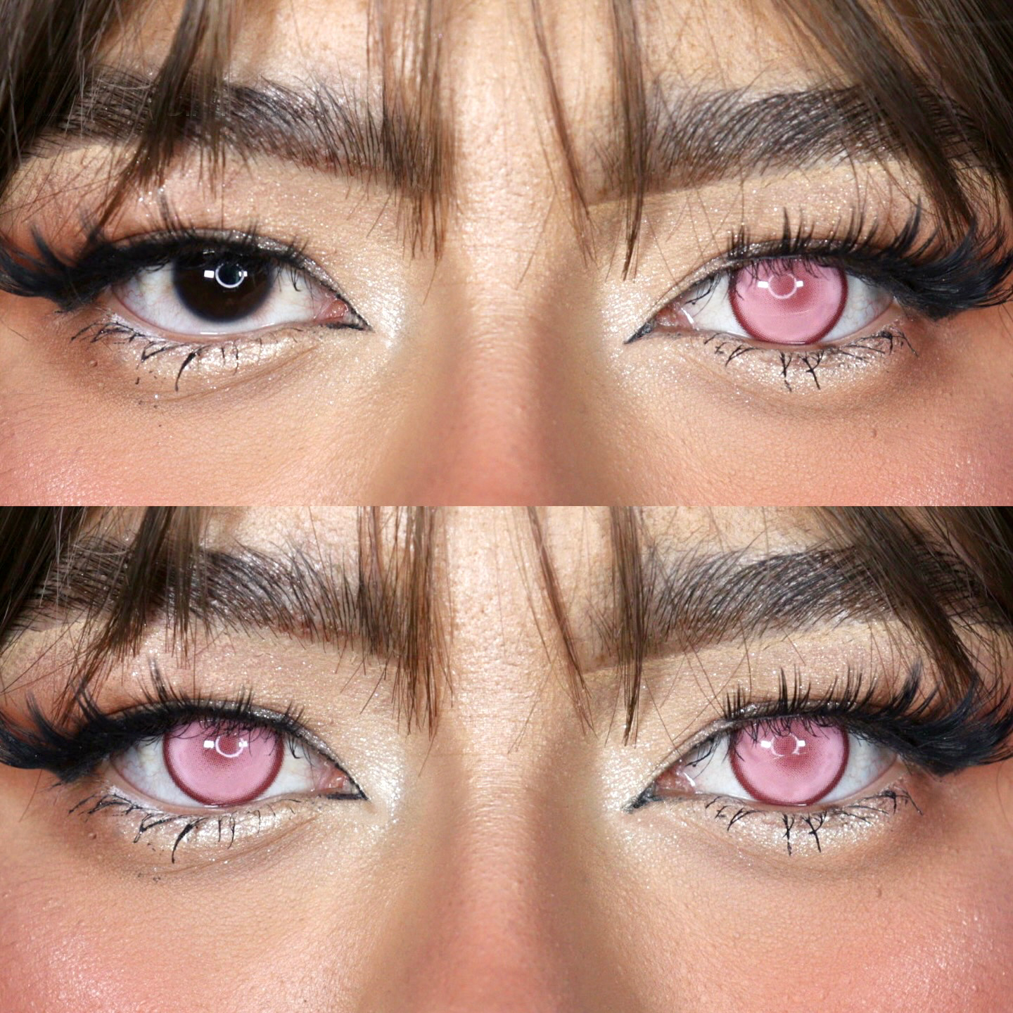 Everland Pink - 1 Year