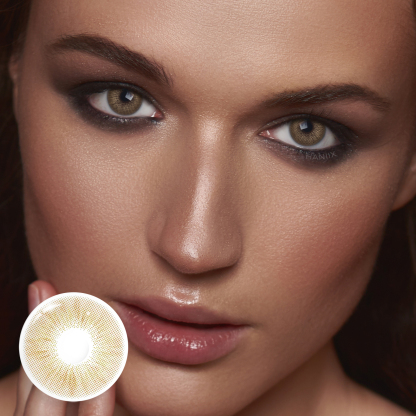 Focus Brown - 1 Year