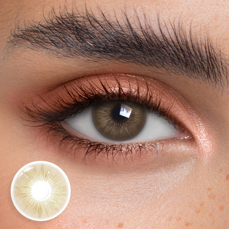 Focus Brown - 1 Year