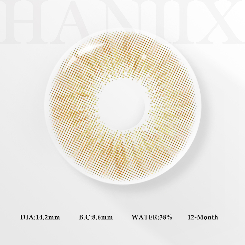 Focus Brown - 1 Year