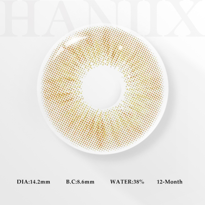 Focus Brown - 1 Year