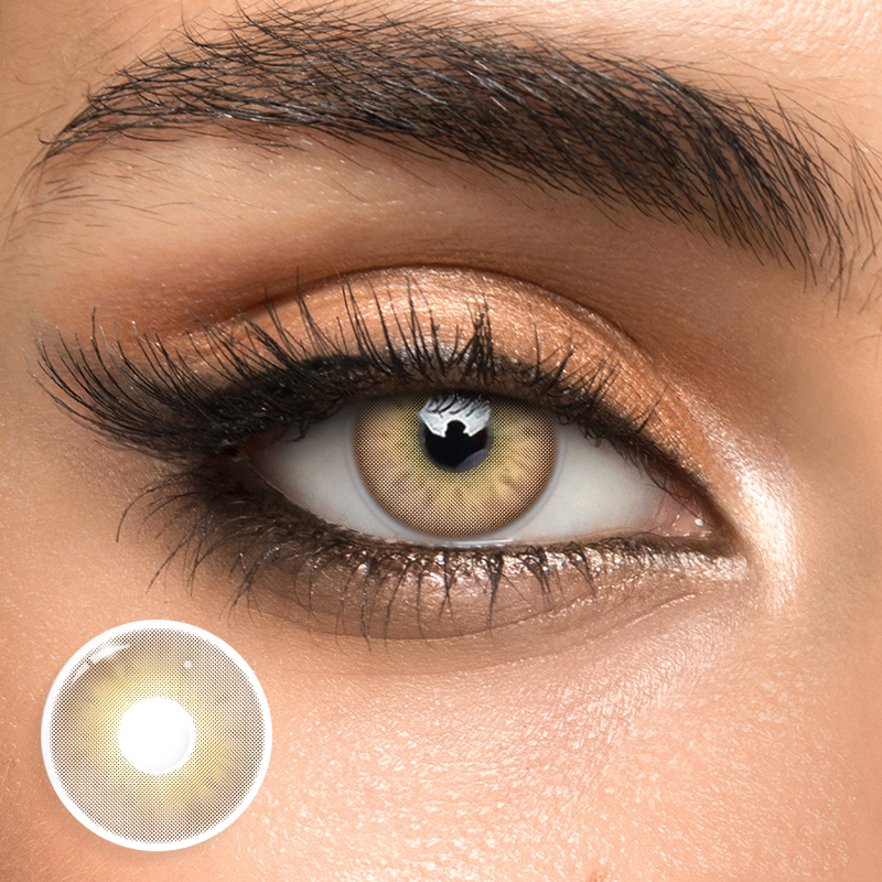 Gossip Brown - 1 Year, 2 lenses