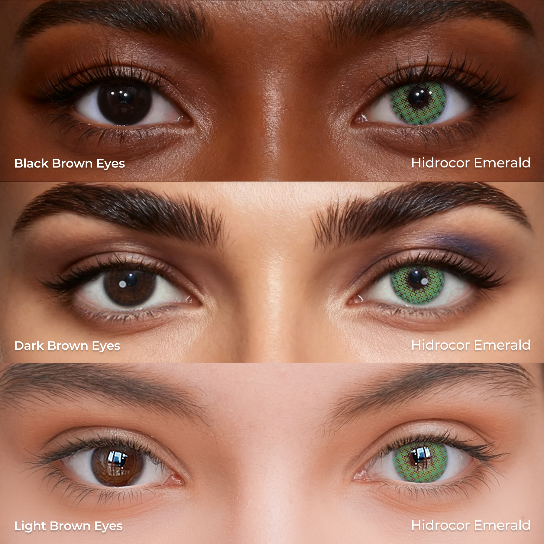 Hidrocor Emerald - 1 Year