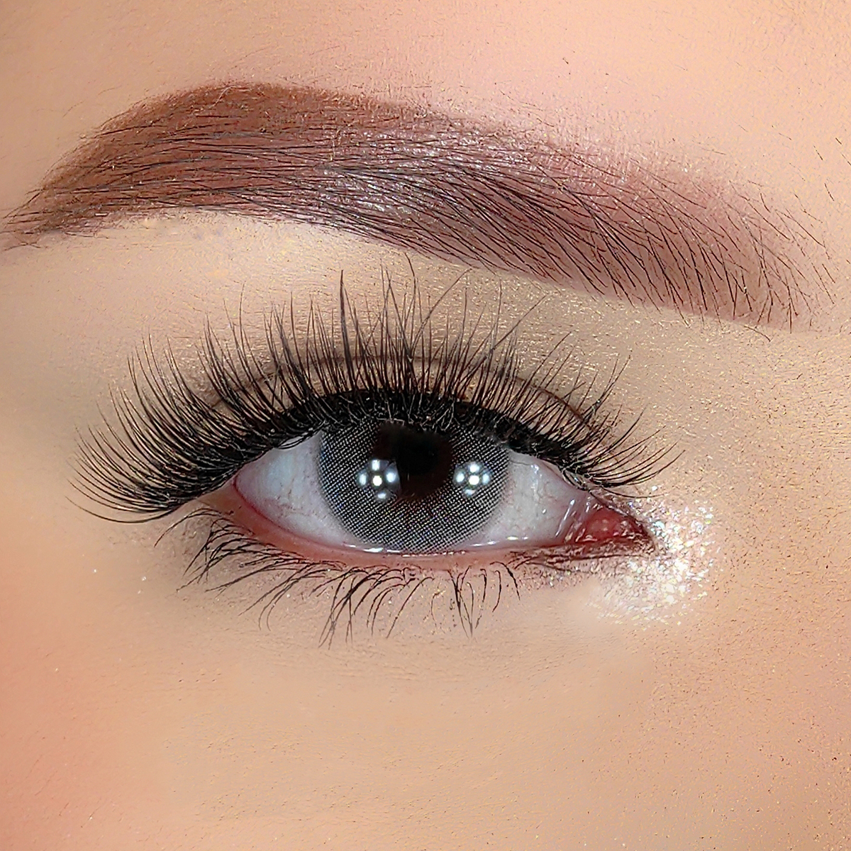 Hidrocor Graphite - Yearly, 2 lenses