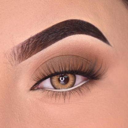 Himalaya Brown - Yearly, 2 lenses