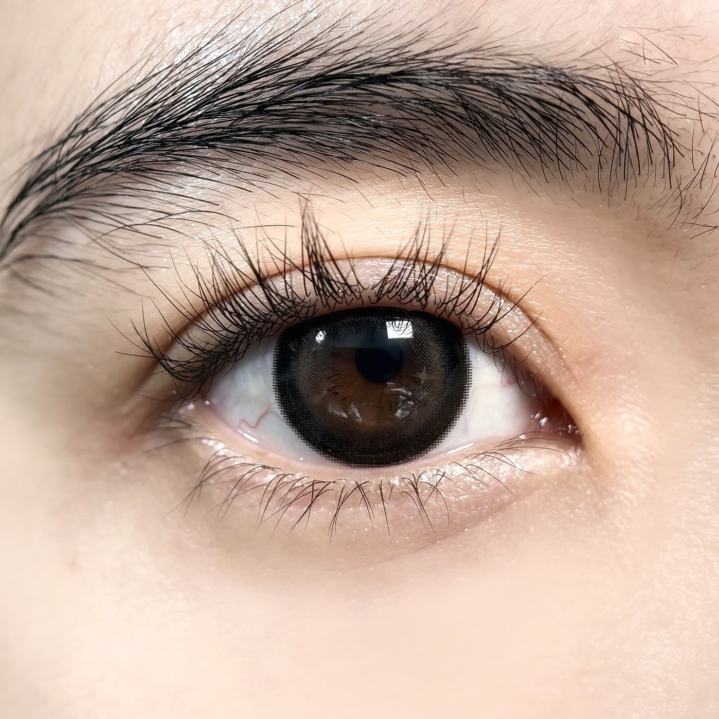 Fate Black - 6 Months