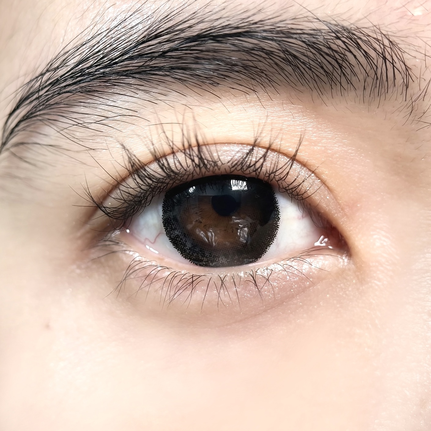 York Black - 1 Month