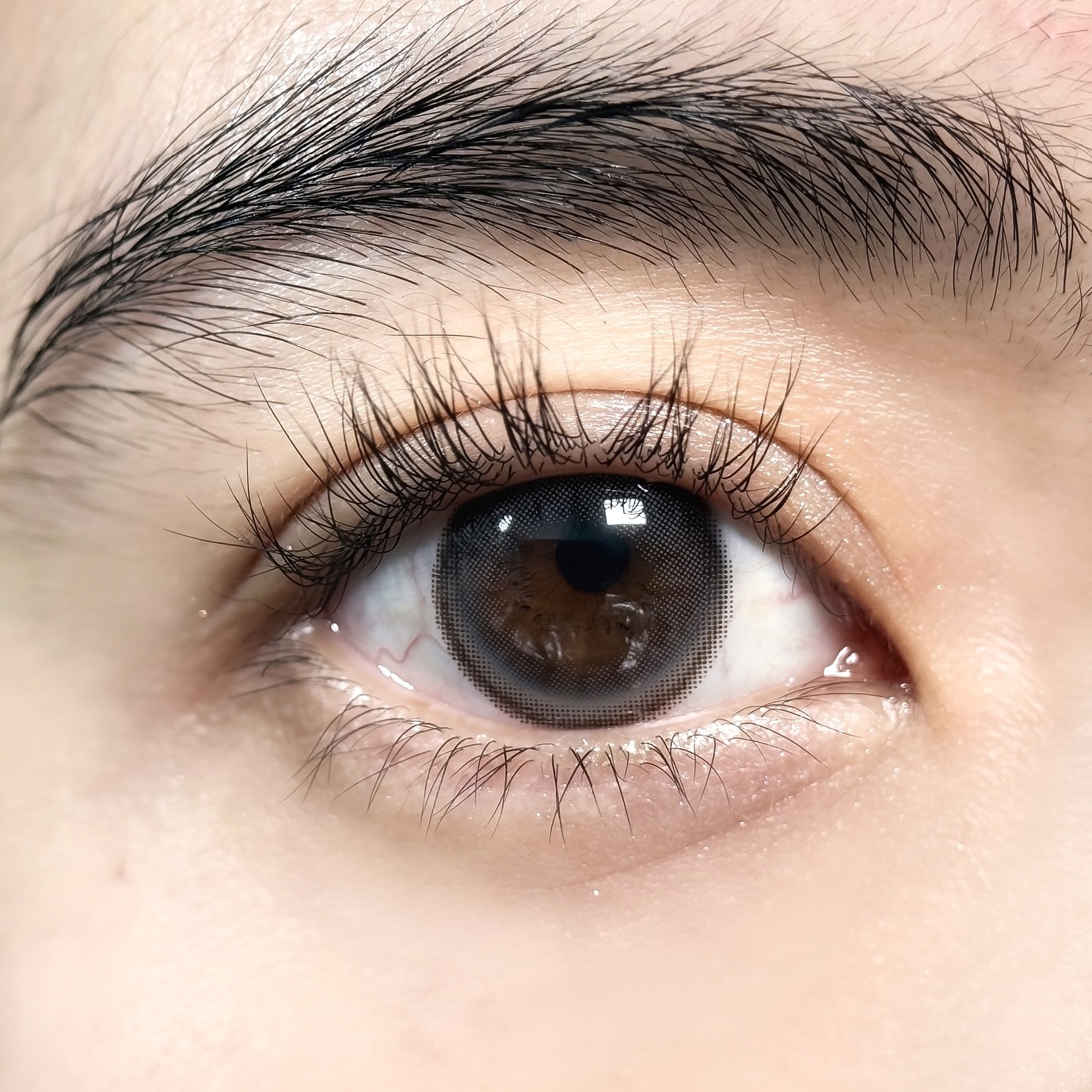 Nude Gray - 6 Months