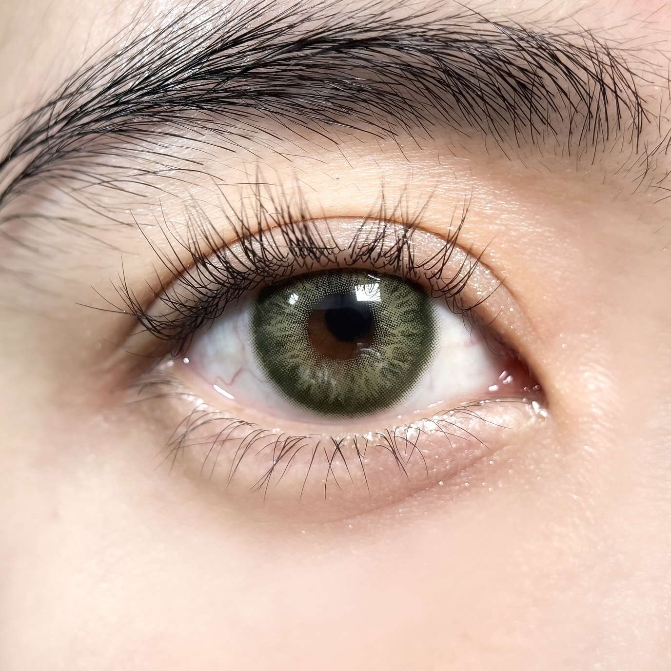 Tango Green - 1 Month