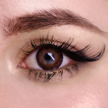 3 Tone Royal Brown - 1 Month