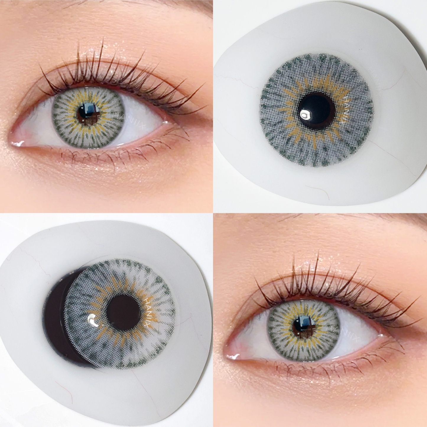 Margarita Gray - 6 Months