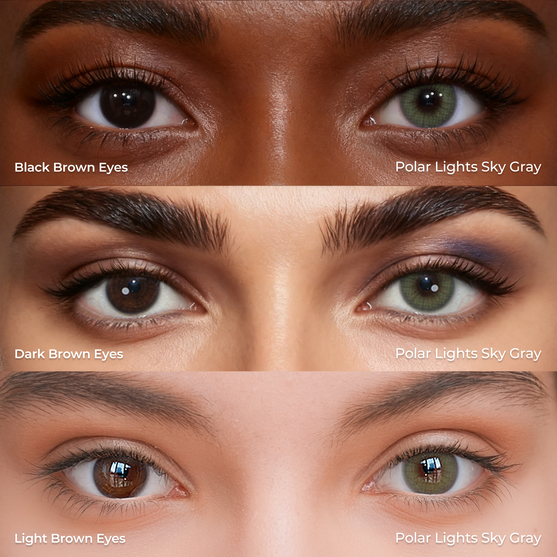 Polar Lights Sky Gray - 1 Year