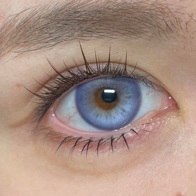 Pray Blue Violet - 1 Year