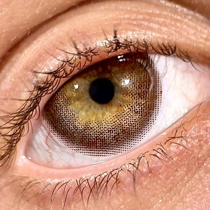 Queen Brown - 1 Year