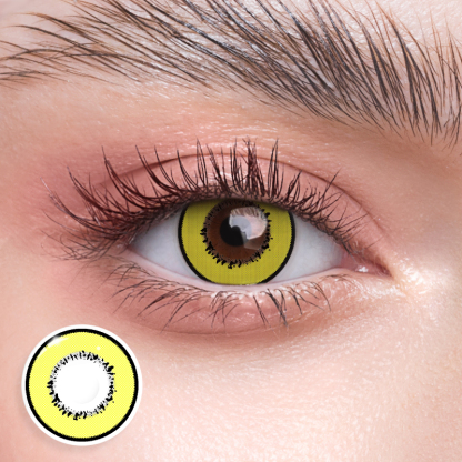 Shinjuku Yellow - 1 Year