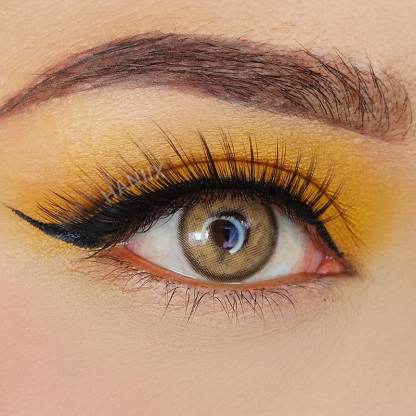 Sorayama Brown - Yearly, 2 lenses