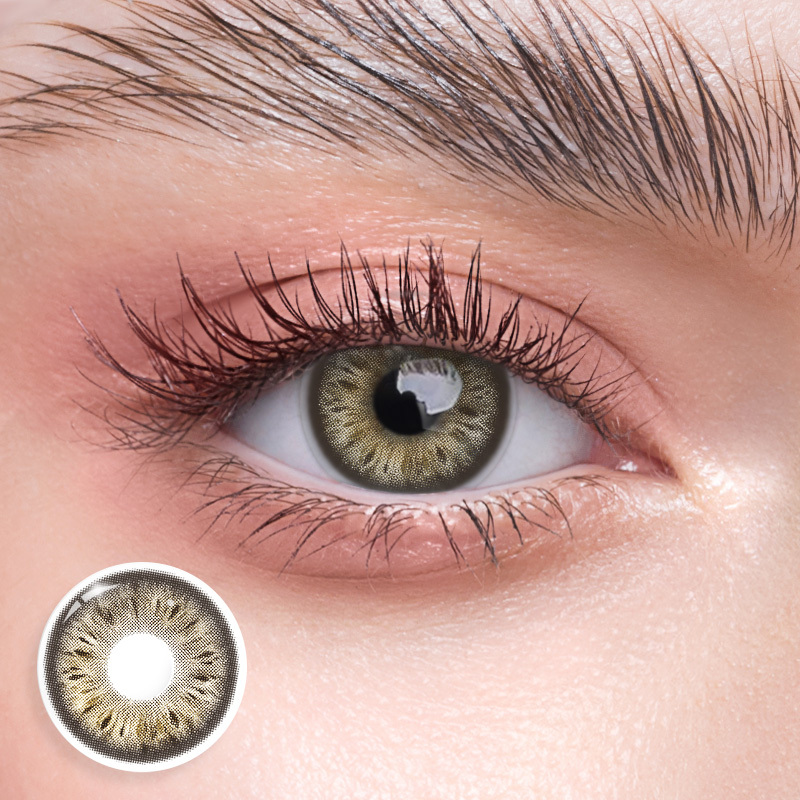 Teddy Brown - Yearly, 2 lenses