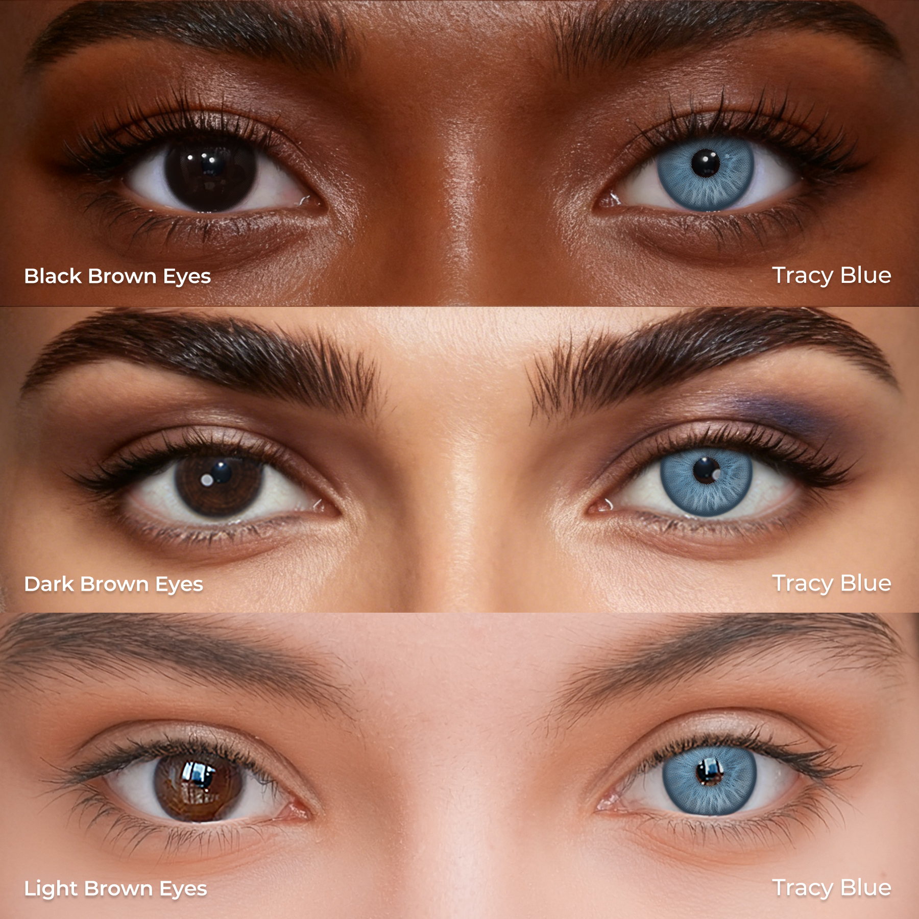 Tracy Blue - 1 Year