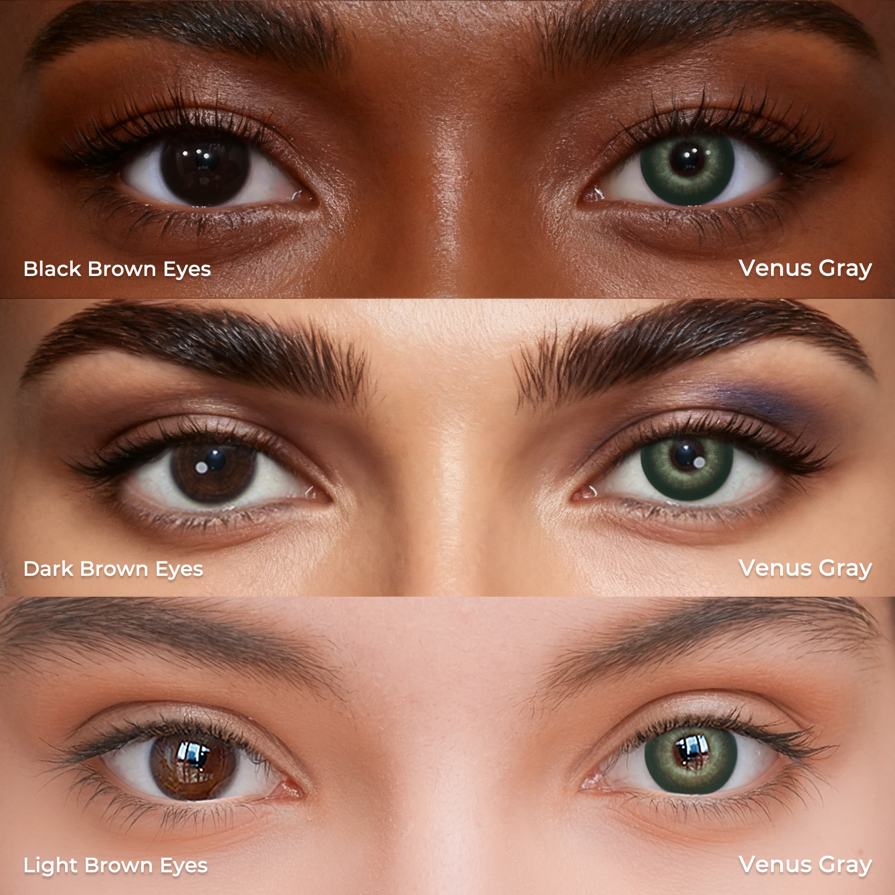 Venus Green - 1 Year