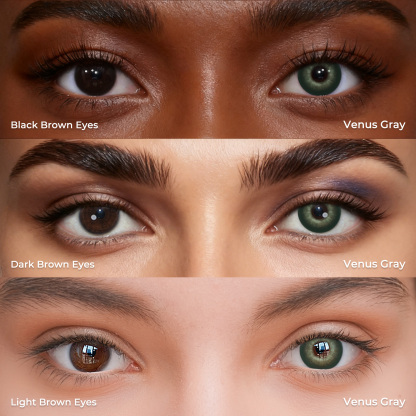Venus Green - 1 Year