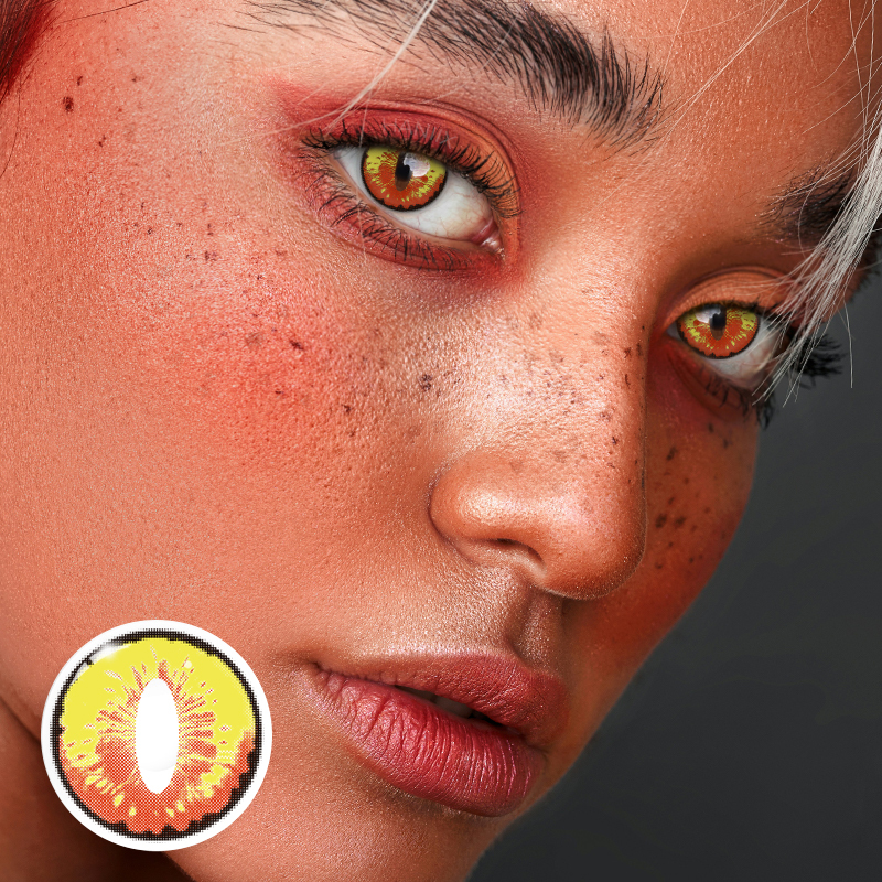 Dragon Maid - 1 Year