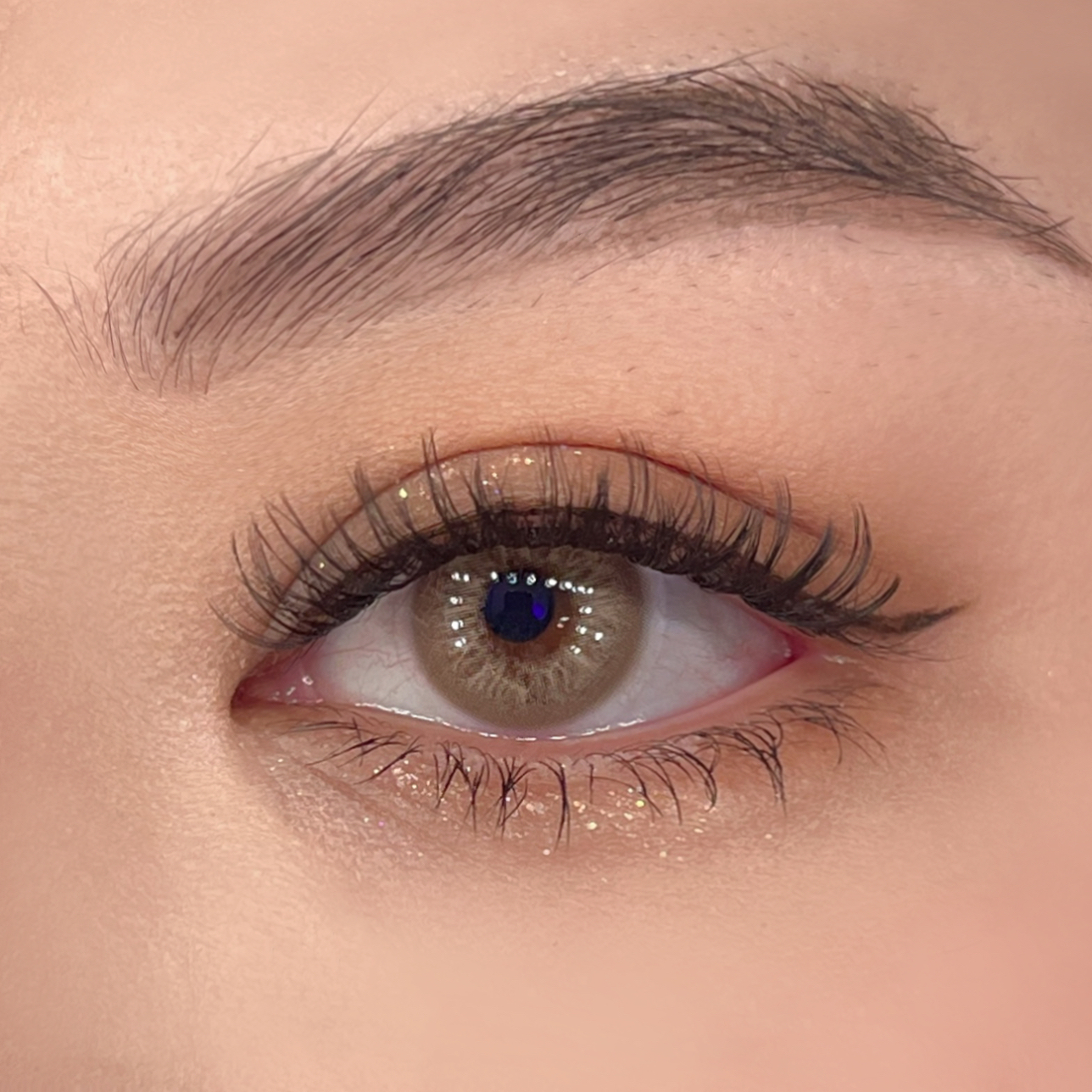 Whisper Brown - Yearly, 2 lenses